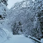Mooshof Lägenhet