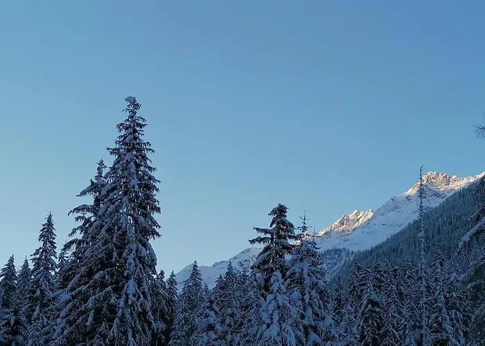 Mooshof * カウナータール