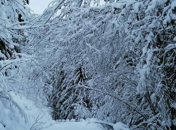 Mooshof アパート