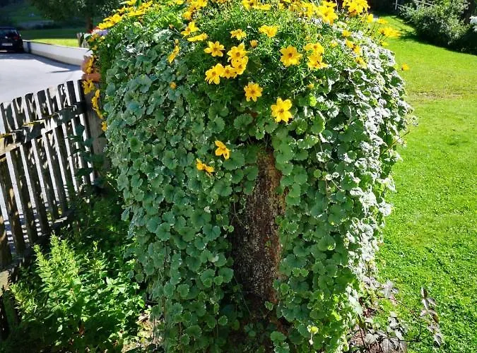 アパート Mooshof